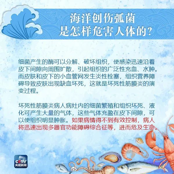 海洋创伤弧菌|吃海鲜前这件事千万要注意！广东大爷被迫截肢……