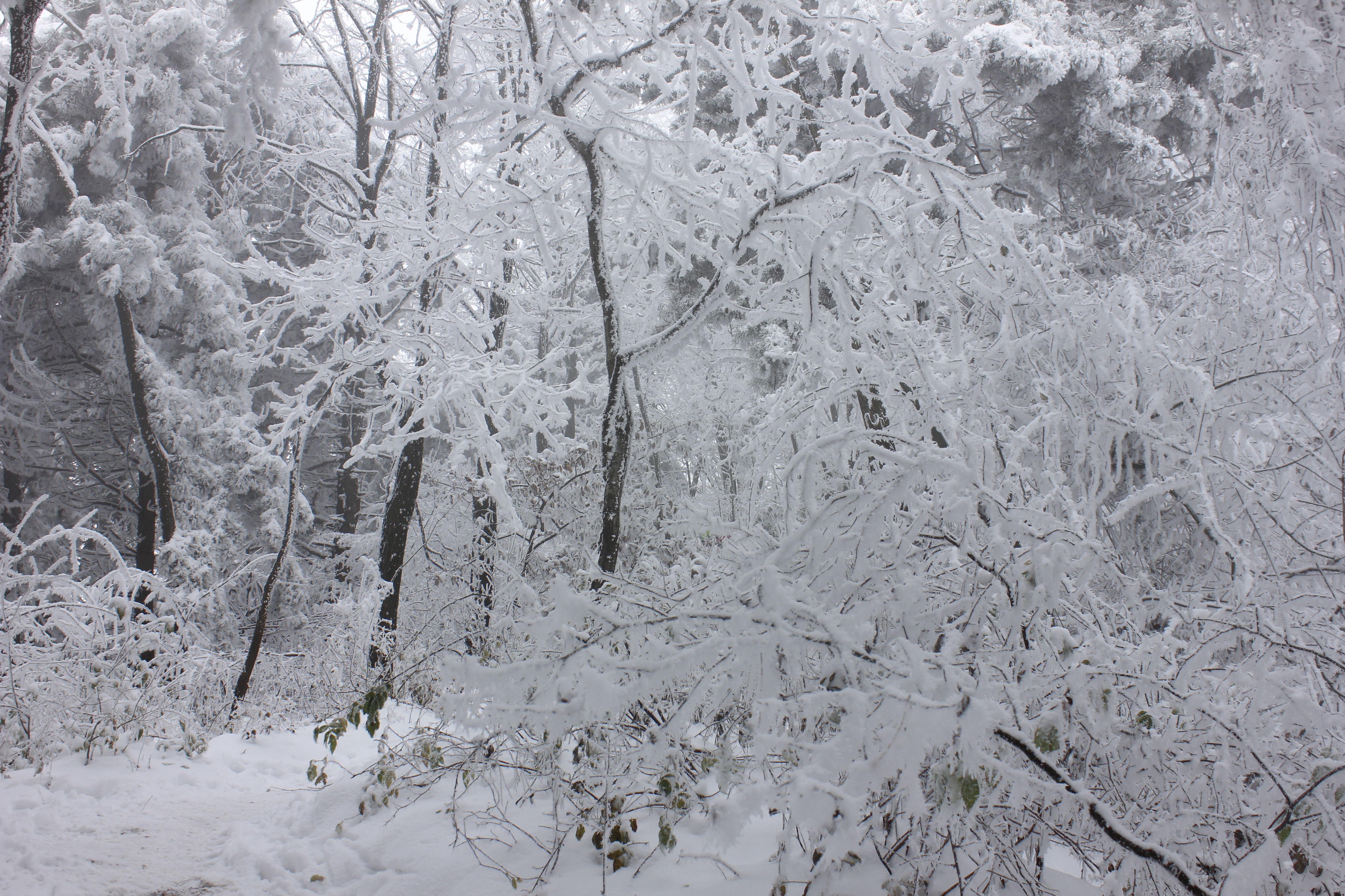 征集|【年末福利征集】雪后南五台幸遇云海