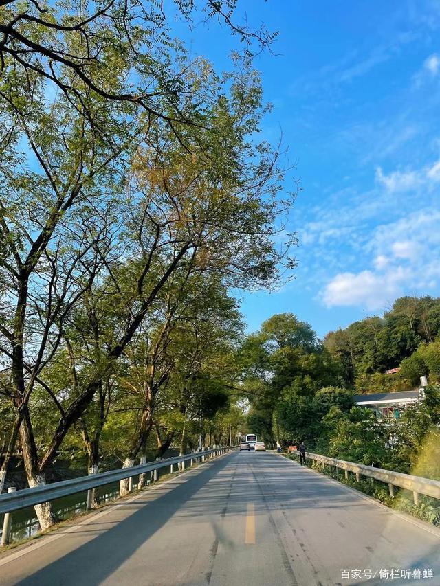 《七绝.初冬印象》霜染苍茫已入冬，枝条飞叶落无穷