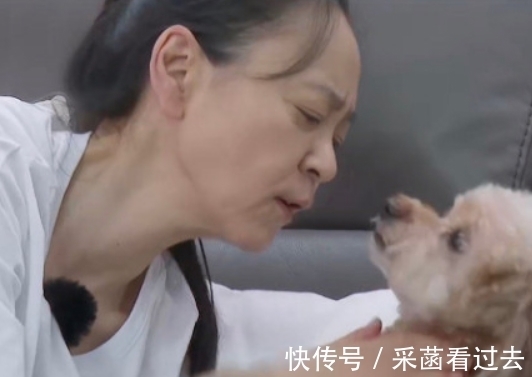 真人秀|被刘雪华整破防了：独居10年，家里24小时开着电视