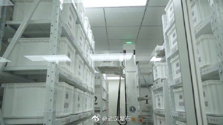 综合医院|开诊73天接诊10万人次，武汉首家智慧化三甲综合医院揭牌