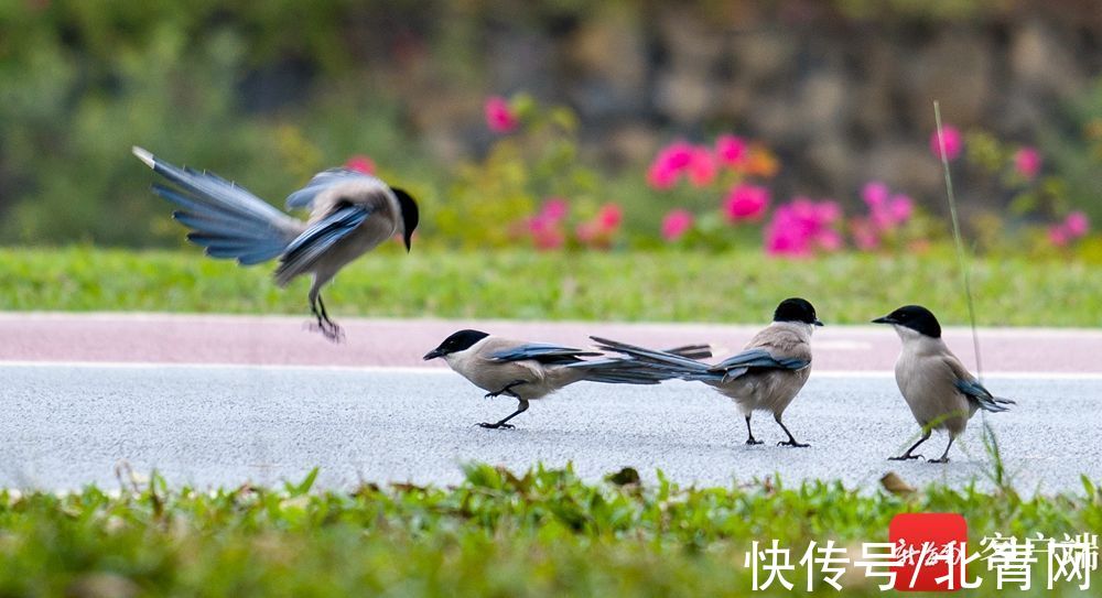 海口万绿园：喜上枝头春意闹 立春时节踏青欢|组图 | 海口市