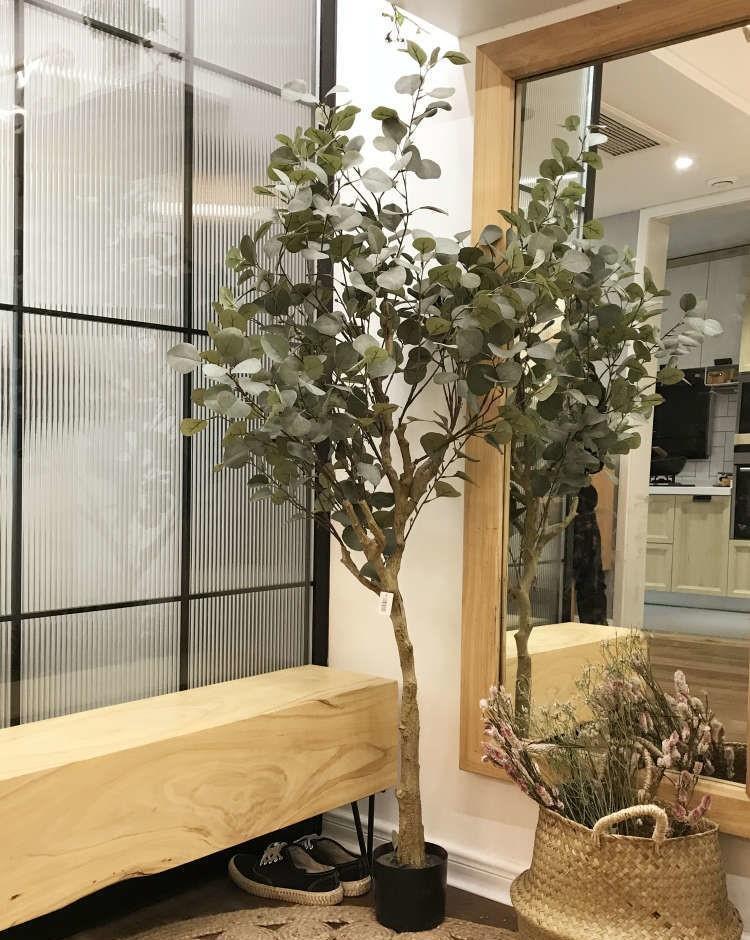 墨绿色|北欧?复古?业主的喜好必须满足,打造富有生命力的现代阳光房