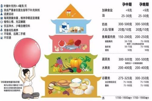 叶酸|怀孕后营养怎么补？最需要的还是这3样，理想的孕期饮食这样吃