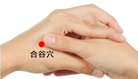 它被称为“万能穴”,能调理身体百病,不知道就太可惜了!