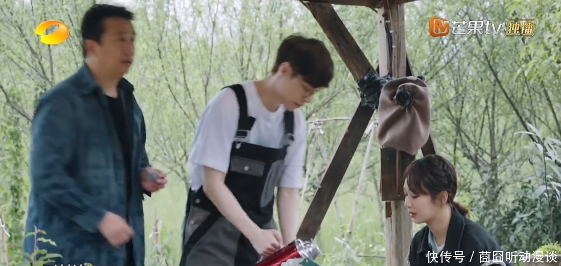 彭昱畅|《向往》推出杨紫张艺兴特辑,网友态度两极分化:唯恐天下不乱?