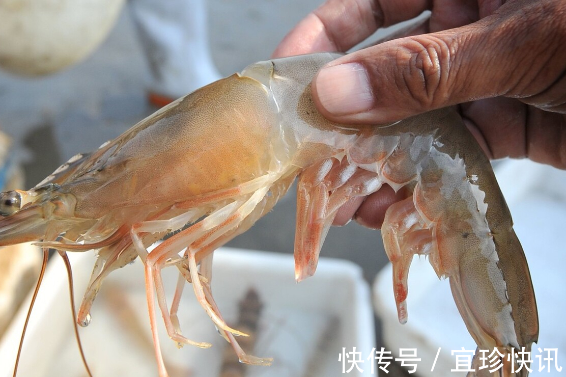 大虾|水煮大虾时,什么水温下锅最好,教你正确的方法,鲜嫩不易腥