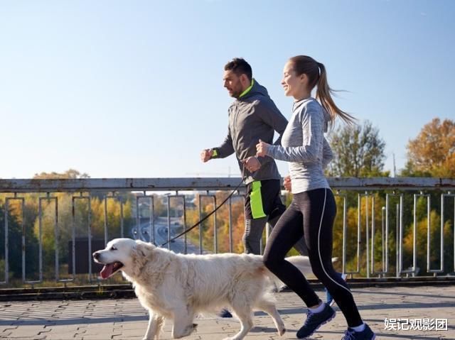 运动强度|跑步和慢走有什么区别？无论选择哪种运动，适合自己比较重要
