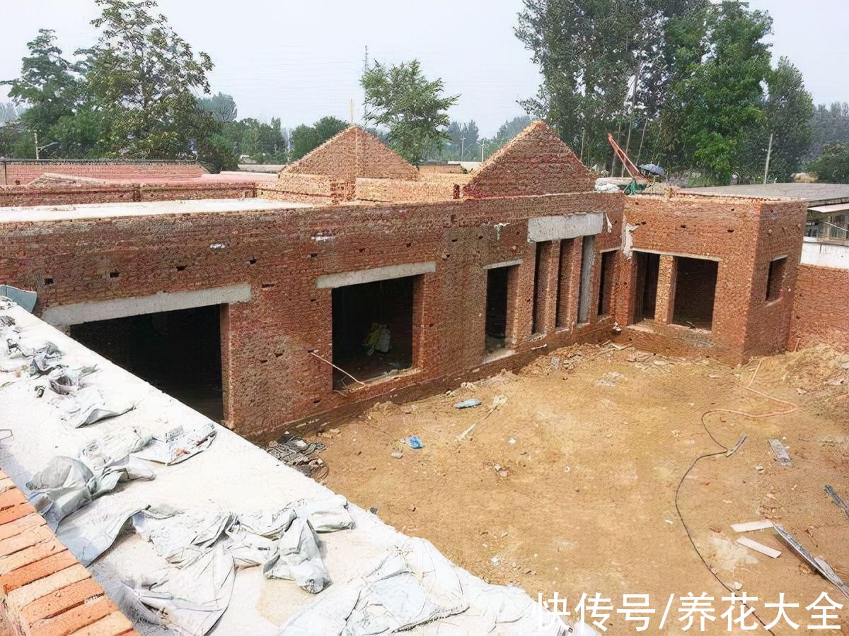 装修|农村没人要的平房,6万块钱买下来,花2万装修,养花正好