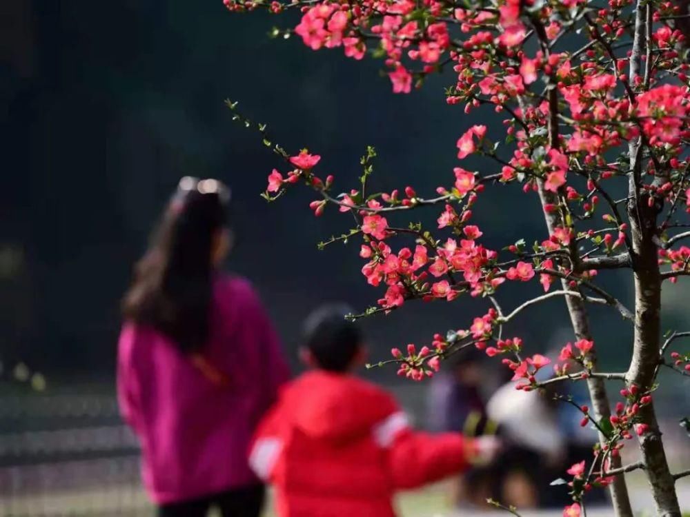 这个季节赏花踏青刚刚好~