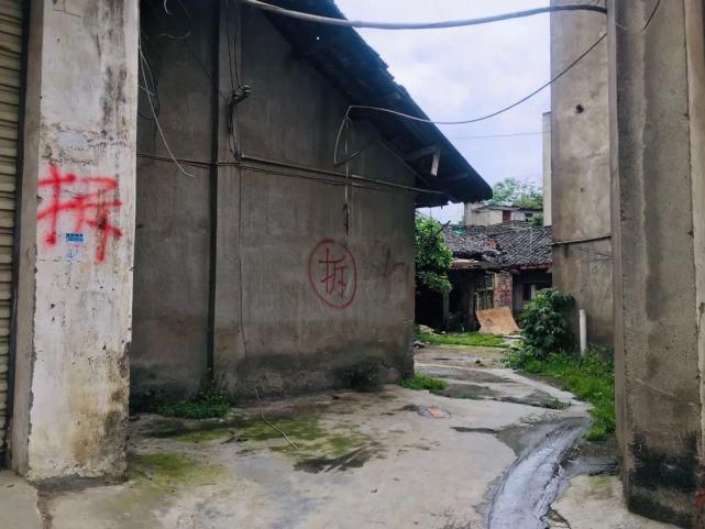 居住区|大丰这个区域将是城北高端居住区？很有可能！