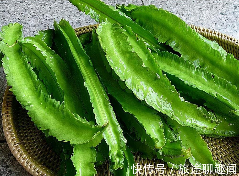 滋补|想长寿全靠吃，3种食物离不开，健脑美容，滋补身体，延缓衰老