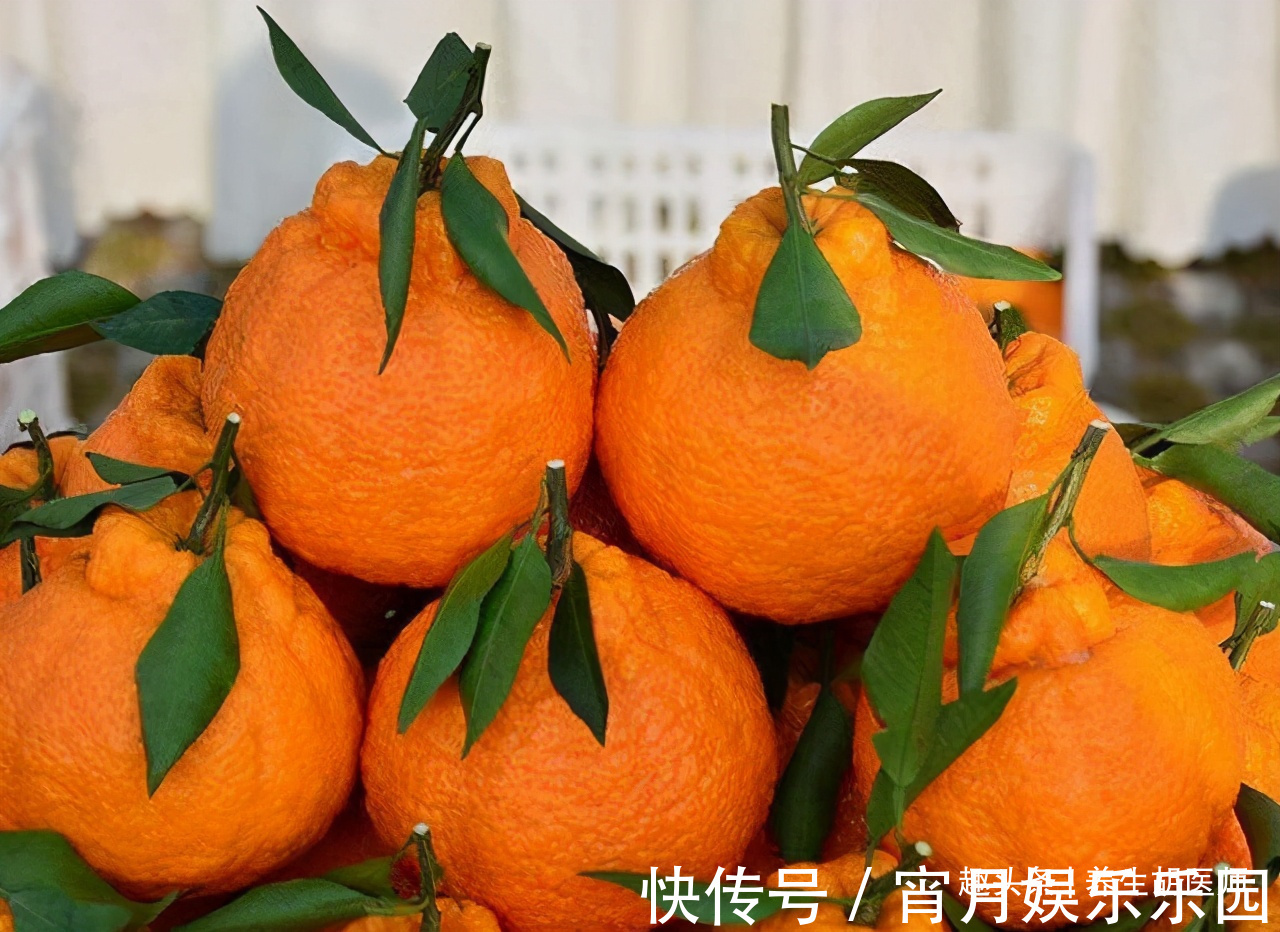 强身健体|女性过了30岁,不妨多吃三食物,补充营养,延缓衰老,好处多多