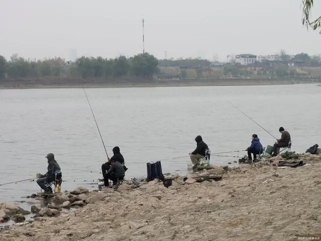 钓饵|天冷钓鲫鱼，我就只服老钓友这3招，知道的人不一般，莫忽视