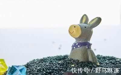 强身健体|男人一旦过了40岁, 这几样食物要多吃, 激发雄激素, 越吃越有劲