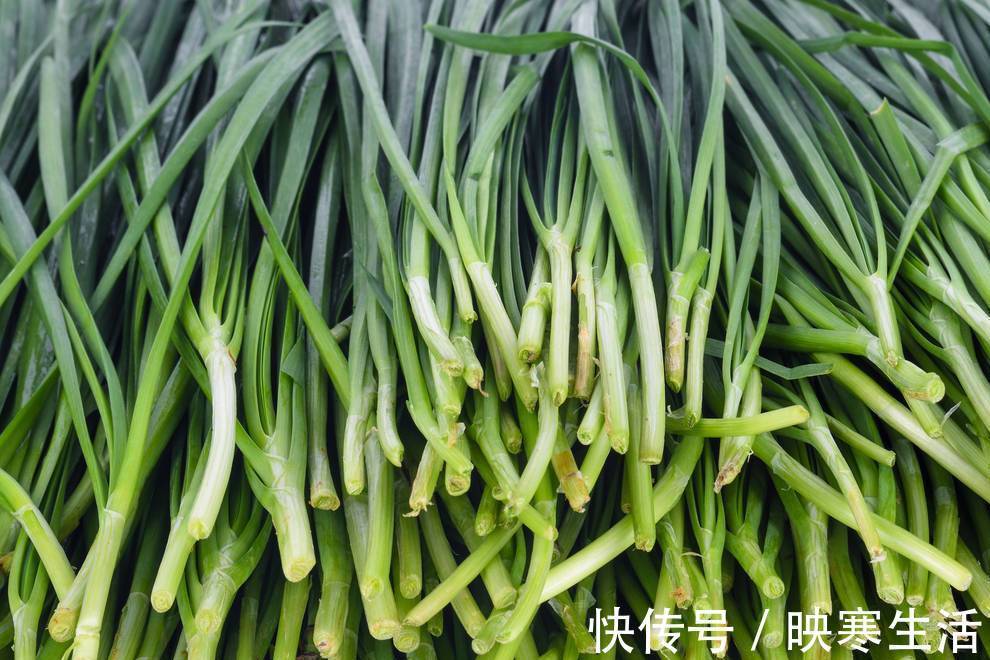 炒韭菜鸡蛋|清洗韭菜,切记不要只用清水洗,教你一招,洗得干净无残留