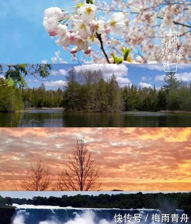 爱上多肉:何须浅碧轻红,自是花中一流!