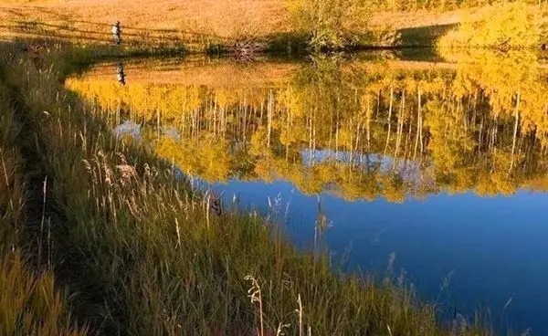 晚秋到初冬，大鲫鱼喜欢藏在这些地方，告诉你选钓位