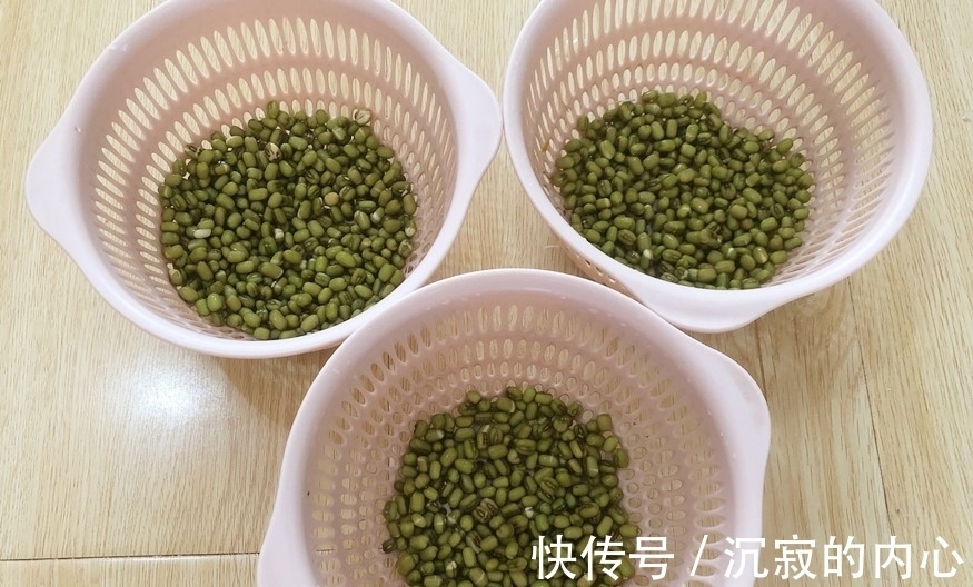 想吃豆芽不用买,教你自己在家种,4天一茬,随吃随种,特省事