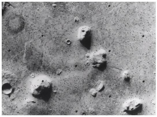 真相 火星上有蘑菇生长？“真像”中的“真相”