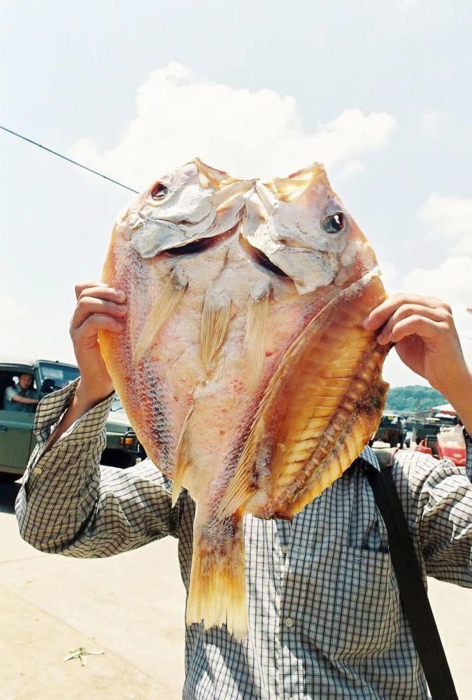 老年|所有4A级景区半价！持续整整3个月！一起去这座山水大省看山看海嗦粉避寒！