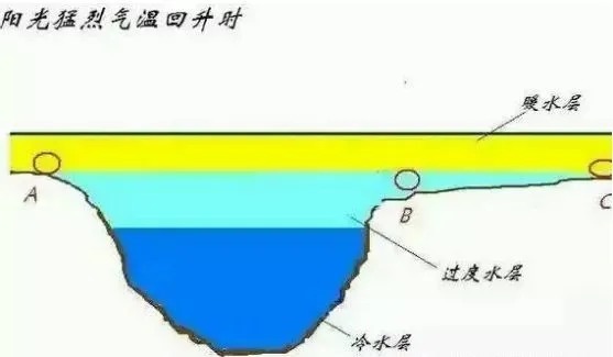 冬钓的绝佳钓位,实践证明只需考虑这3点!