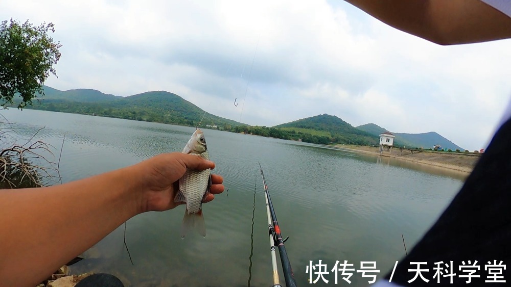 饵料|冬天鲫鱼开口轻,老钓手有方法针对,学会这3点提高中鱼率