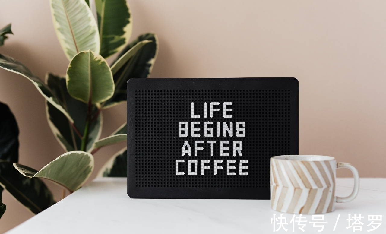 人类!所有人都能自行得出的哲学道理,只用四个词概括人间万象