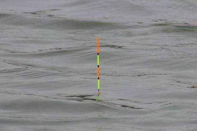 调高钓底和调低钓高,字相同意不同,搞错了的后果就是钓不上鱼