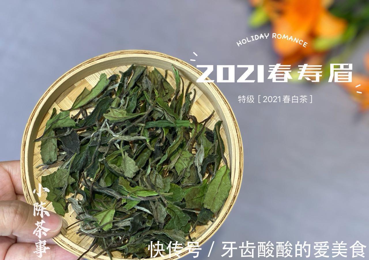 秋茶&春茶、夏茶、秋茶、冬茶、一年中哪个季节的茶好?一次性说清楚