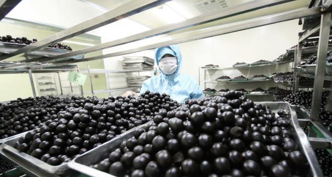 大便|便秘就用麻仁丸?错了!辨清证型,区别木香槟榔丸与木香顺气丸