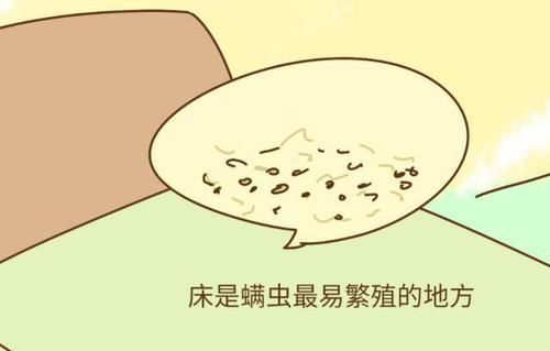 异味|被子睡久“有异味”学会这方法，不洗不晒也能去味杀菌