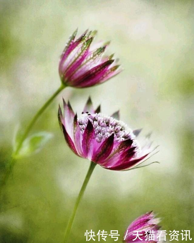 经典语录|激励人心的经典语录,句句有内涵,读读受益匪浅