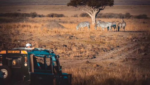 非洲与欧亚大陆对比，分析非洲为何没有强大的游牧文明和农耕文明