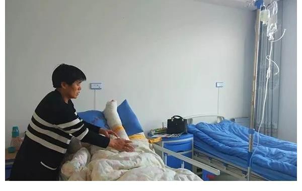 聊天记录|痛失挚爱8年后,撒贝宁痛哭:“我爱的人,再也回不来了”