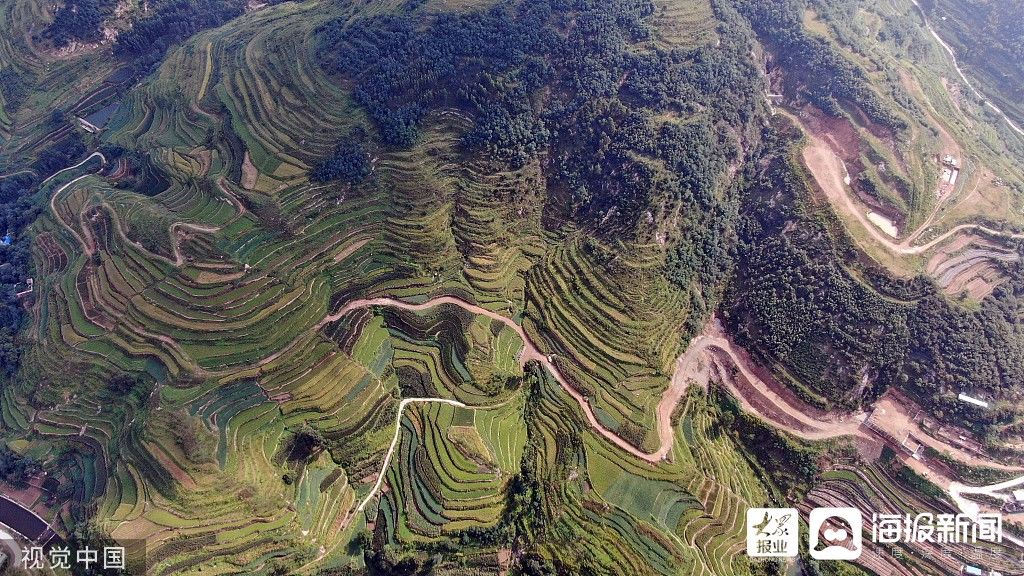 梯田|图看日照｜500米高空俯瞰壮美梯田