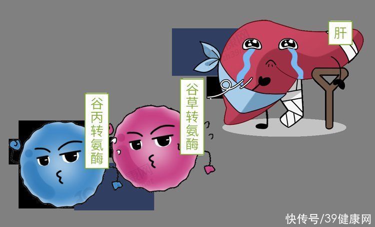 白族|中国专家从蟑螂中找到治病良方！修复能力强，能促进口腔溃疡愈合
