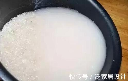 养护|厨房里哪些东西是虎皮兰喜欢的，可在盆栽期间用上？