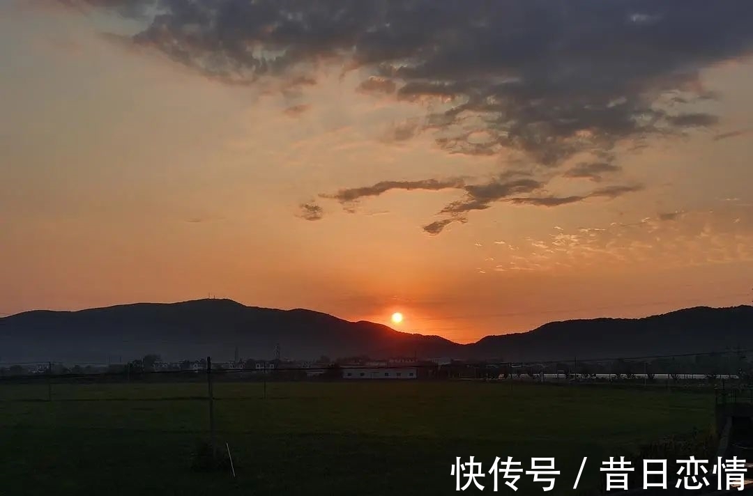 诗句|当年背到头秃的古诗,瞬间读懂了……