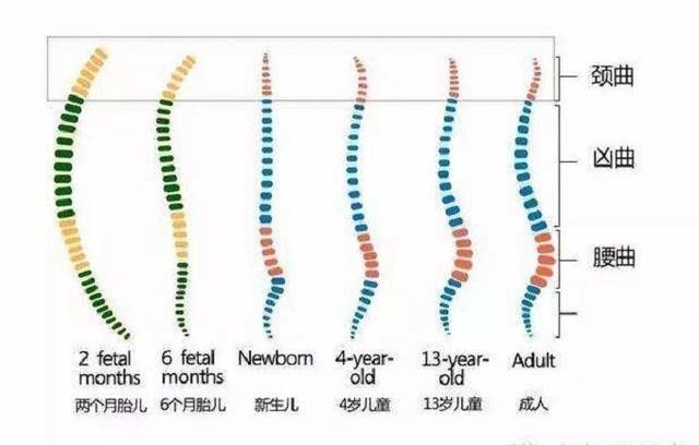 脊柱|别这样抱孩子了，伤了宝宝脊柱你还不知道，附不同月份的正确抱法