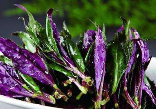 皮肤|冬天,多吃此菜,眼睛更亮了,皮肤有弹性,给身体“洗个澡”吧