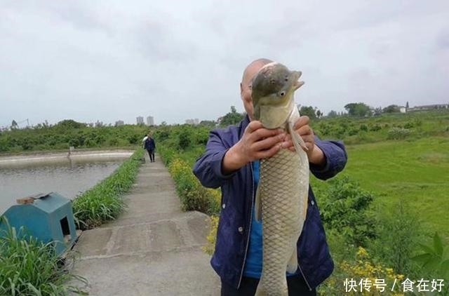 钓鱼|和媳妇野钓一条怪异大鱼，老丈人非要挖坑埋了，我该怎么做？