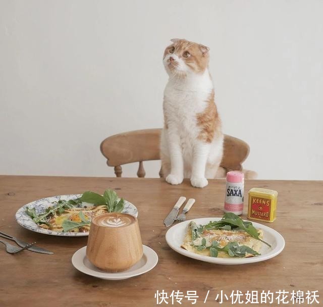 辜负|看了这位小姐姐的精致下午茶,甜品与猫,不可辜负