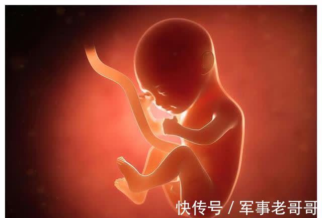 尿液|怀胎十月,胎儿的排泄物都去哪了?看完整个人都不好了