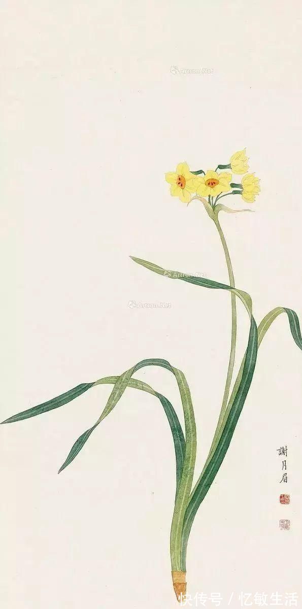 花鸟!她凭天赋自学书画,画画不到20年,却堪称“花鸟圣手”,成为一代传奇