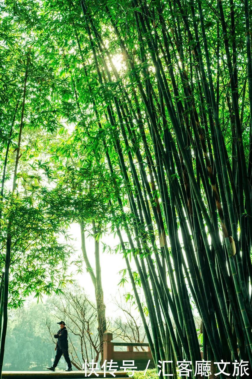 锦里 成都是一种“病”,不去治不好!