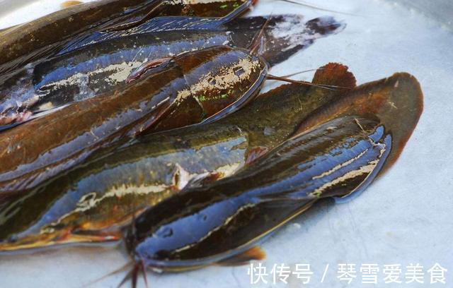 它比蚯蚓还好用,如果你想钓的鱼比别人多,请花1分钟看下