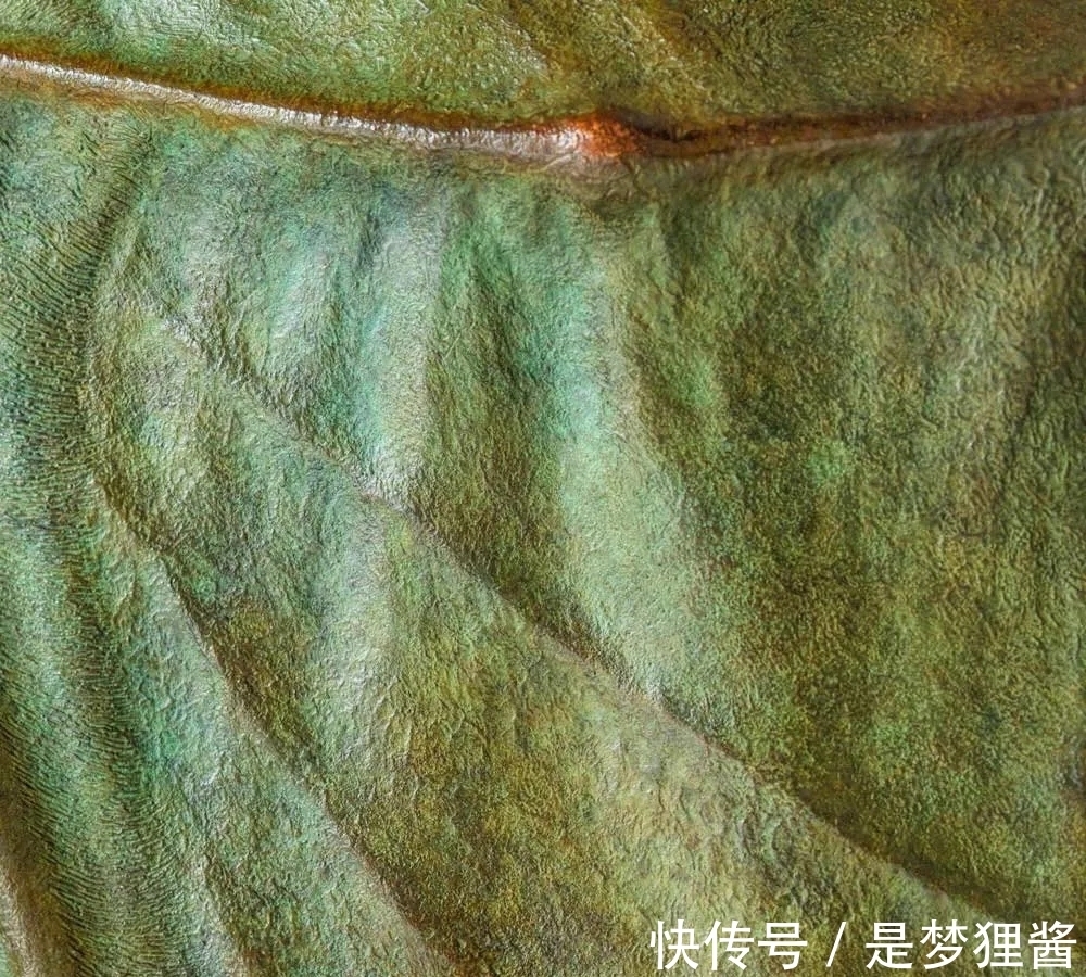 形象派!细致到肌肤纹理的动物雕塑大师