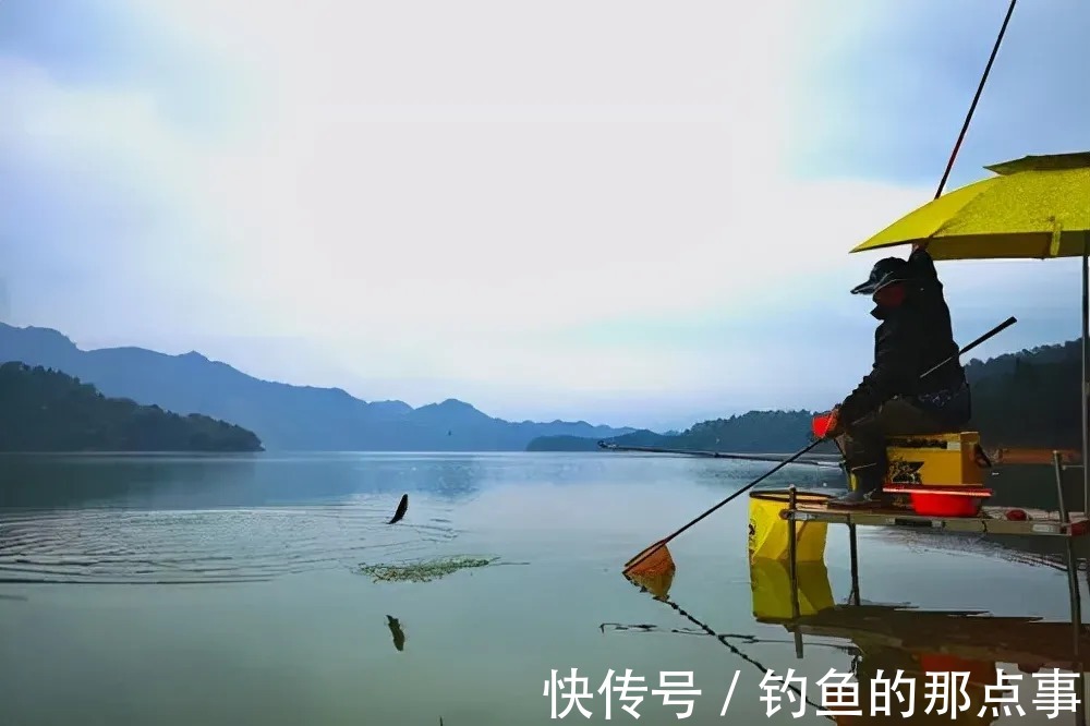 冬钓时单开蓝鲫还有用吗?野钓亲测,蓝鲫加上这两种效果更佳