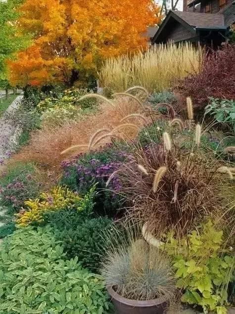  花境|花有“花境”，草有“草境”！